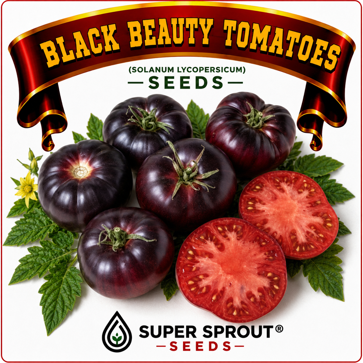 BLACK BEAUTY TOMATOES x 10+ seeds_1