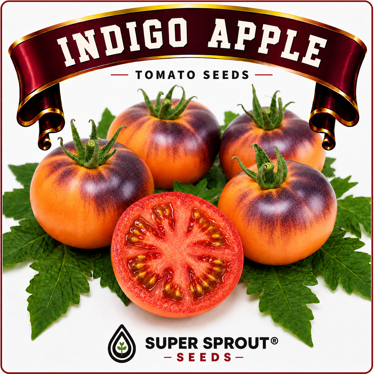 🍅INDIGO APPLE 🍅 x 10 organic seeds