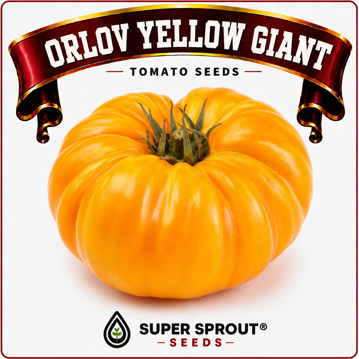 ORLOV YELLOW GIANT TOMATO x 10 seeds_1