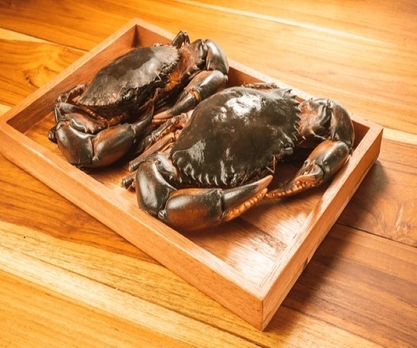 Mud Crab 400g - 500g _0