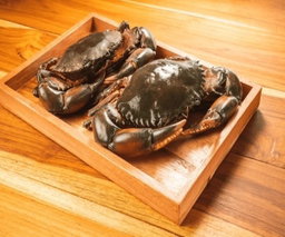Mud Crab 400g - 500g 