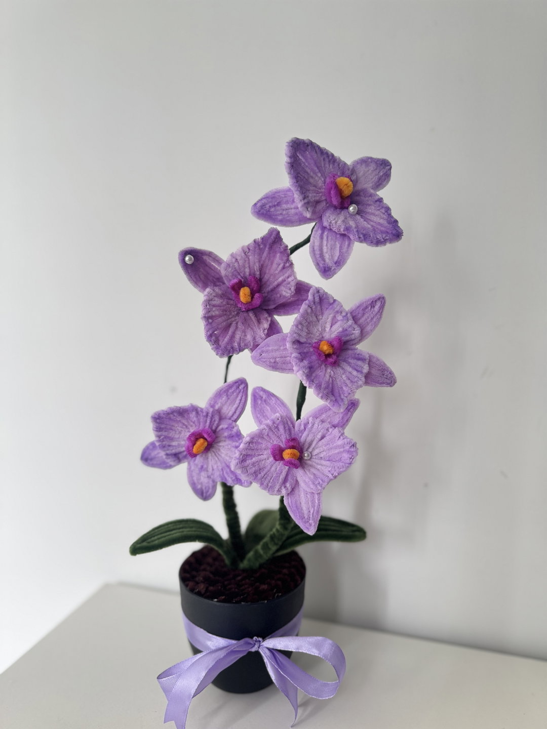Flower Plant 