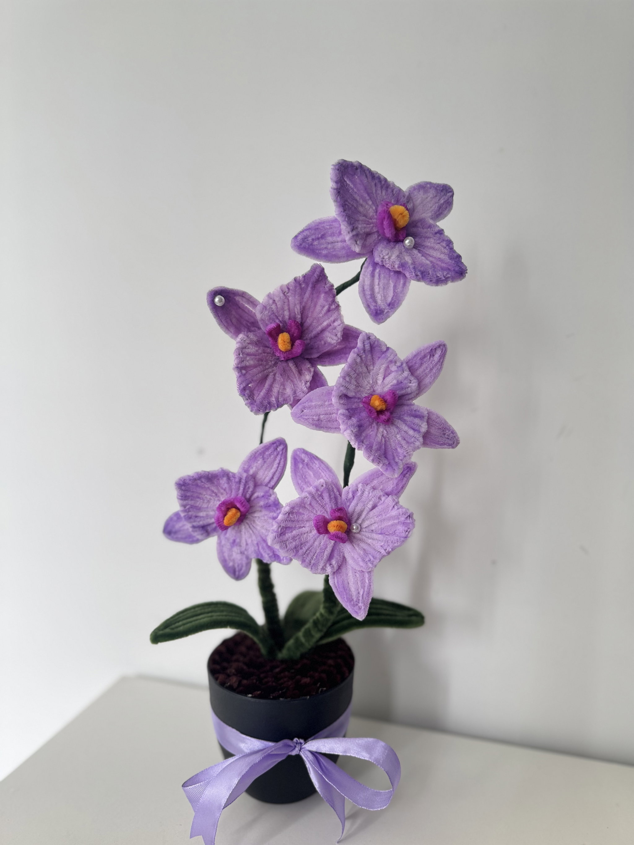 Flower Plant _0
