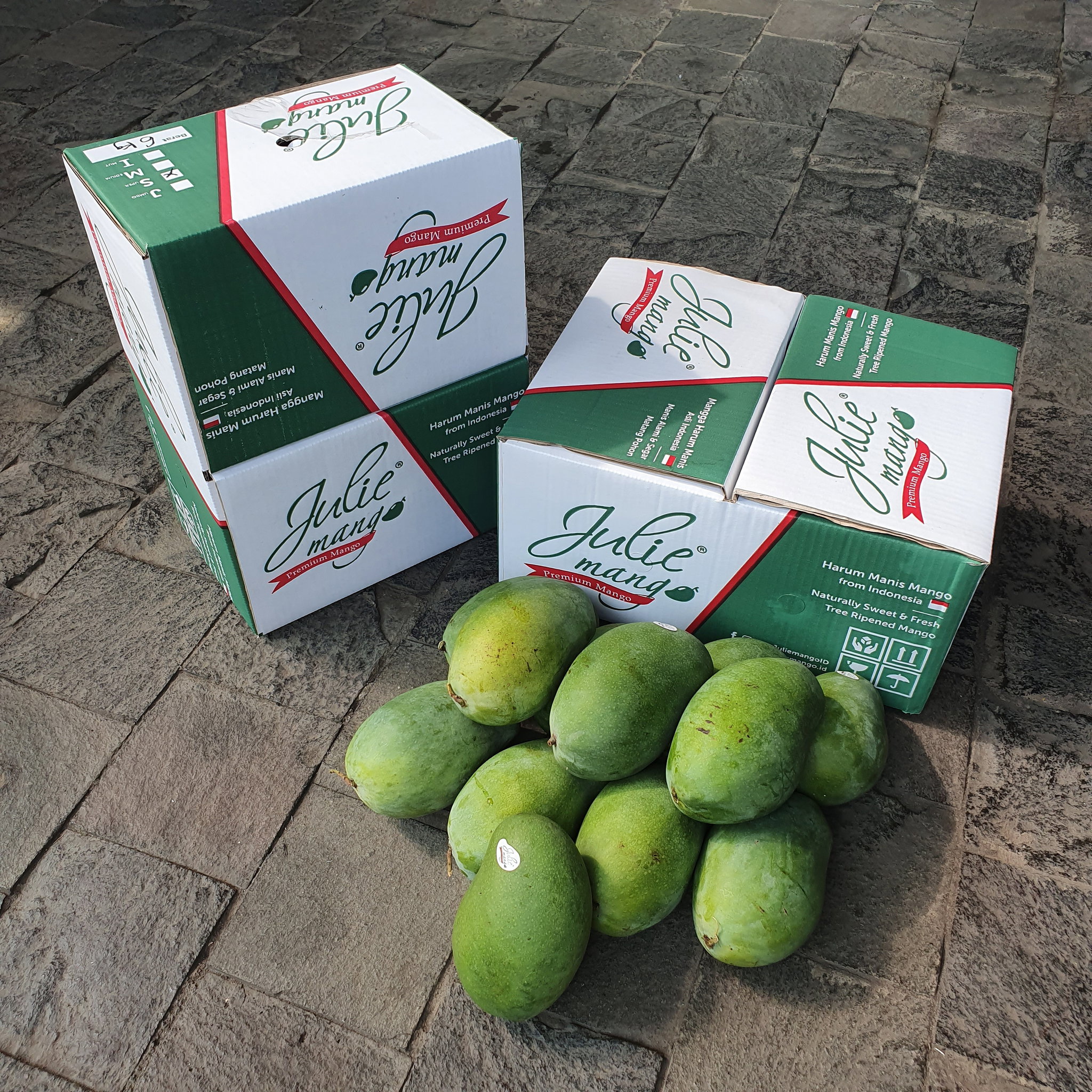 Mangga Matang Pohon Berat 6Kg Isi 12 pcs_2