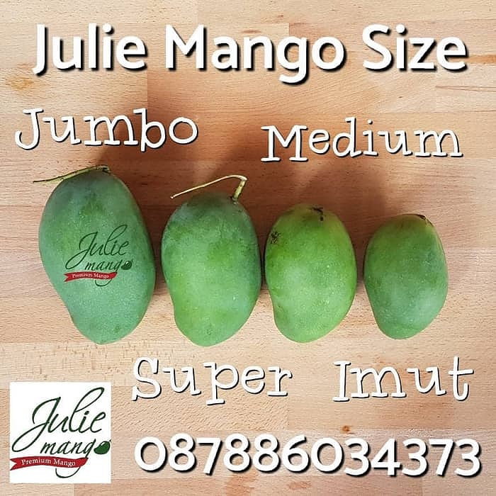 Mangga Matang Pohon Berat 6Kg Isi 12 pcs_1