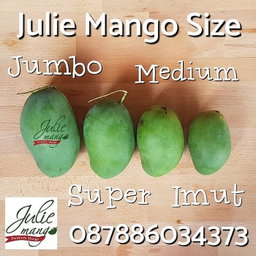Mangga Matang Pohon Berat 5Kg Isi 12pcs