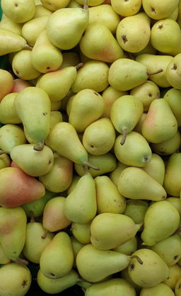عرموط