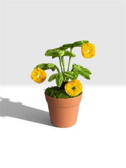 Money Plant with Lucky Coins