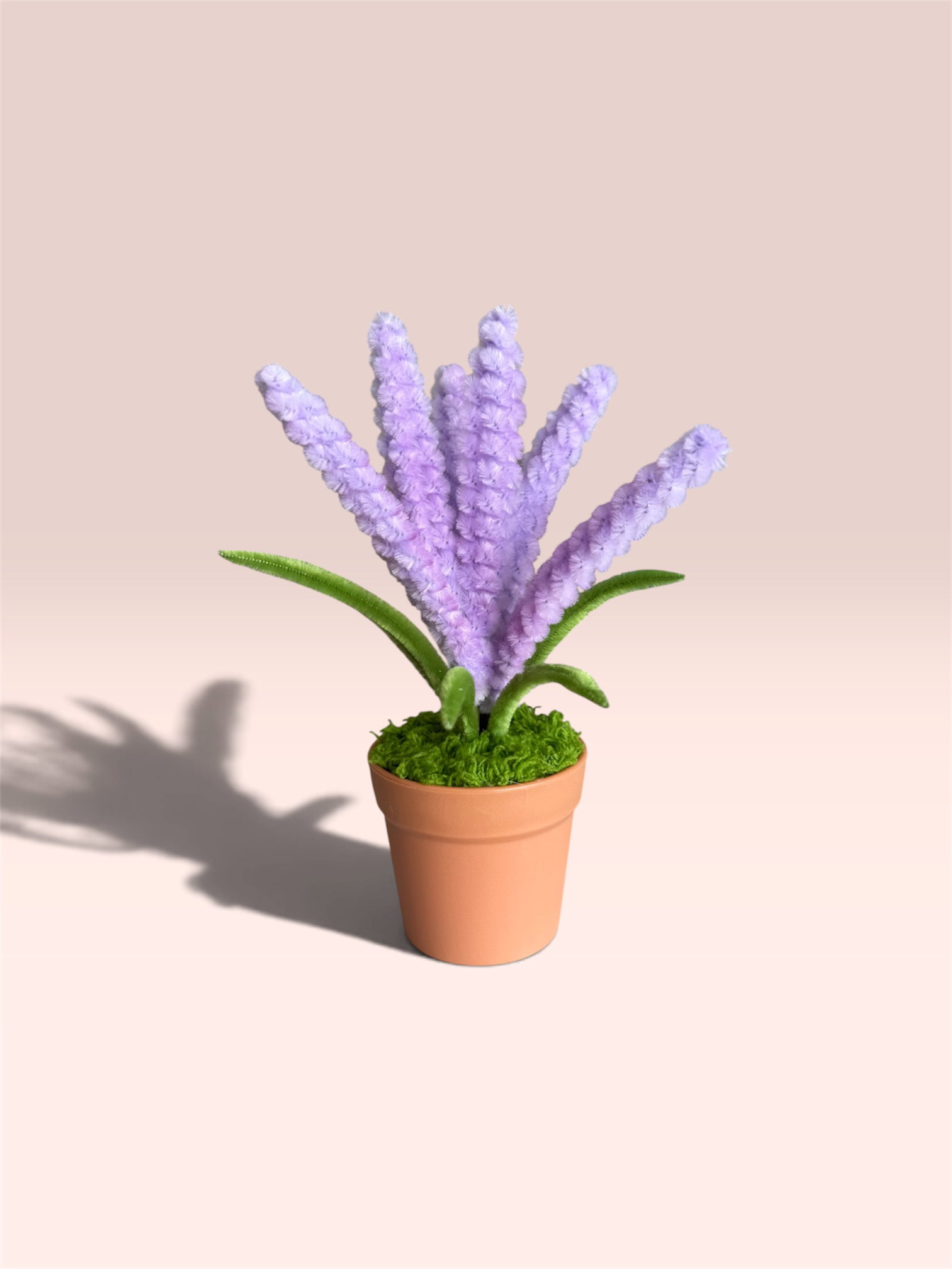 Lavender in Brown Pot_0
