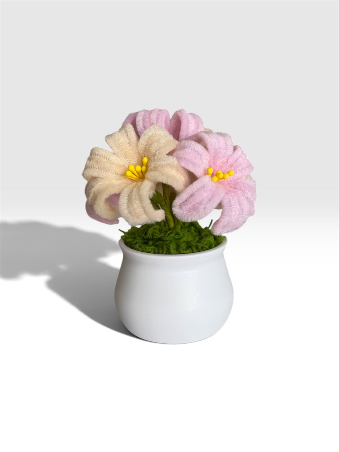 Mixed Hyacinth in White Pot
