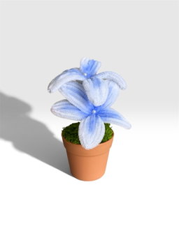 Blue Frangipani in Brown Pot