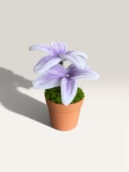 Purple Frangipani in Brown Pot