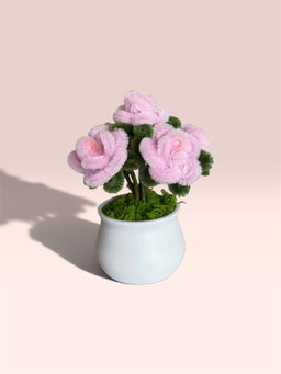 Pink Roses in White Pot
