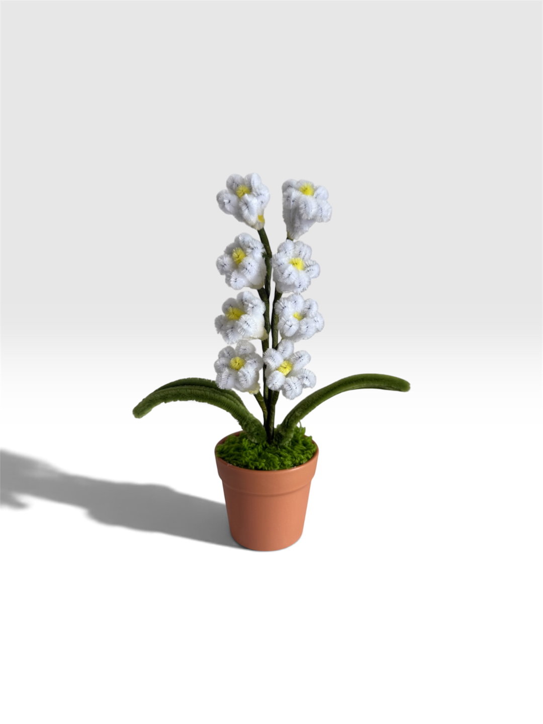 Lily of the Valley in Brown Pot