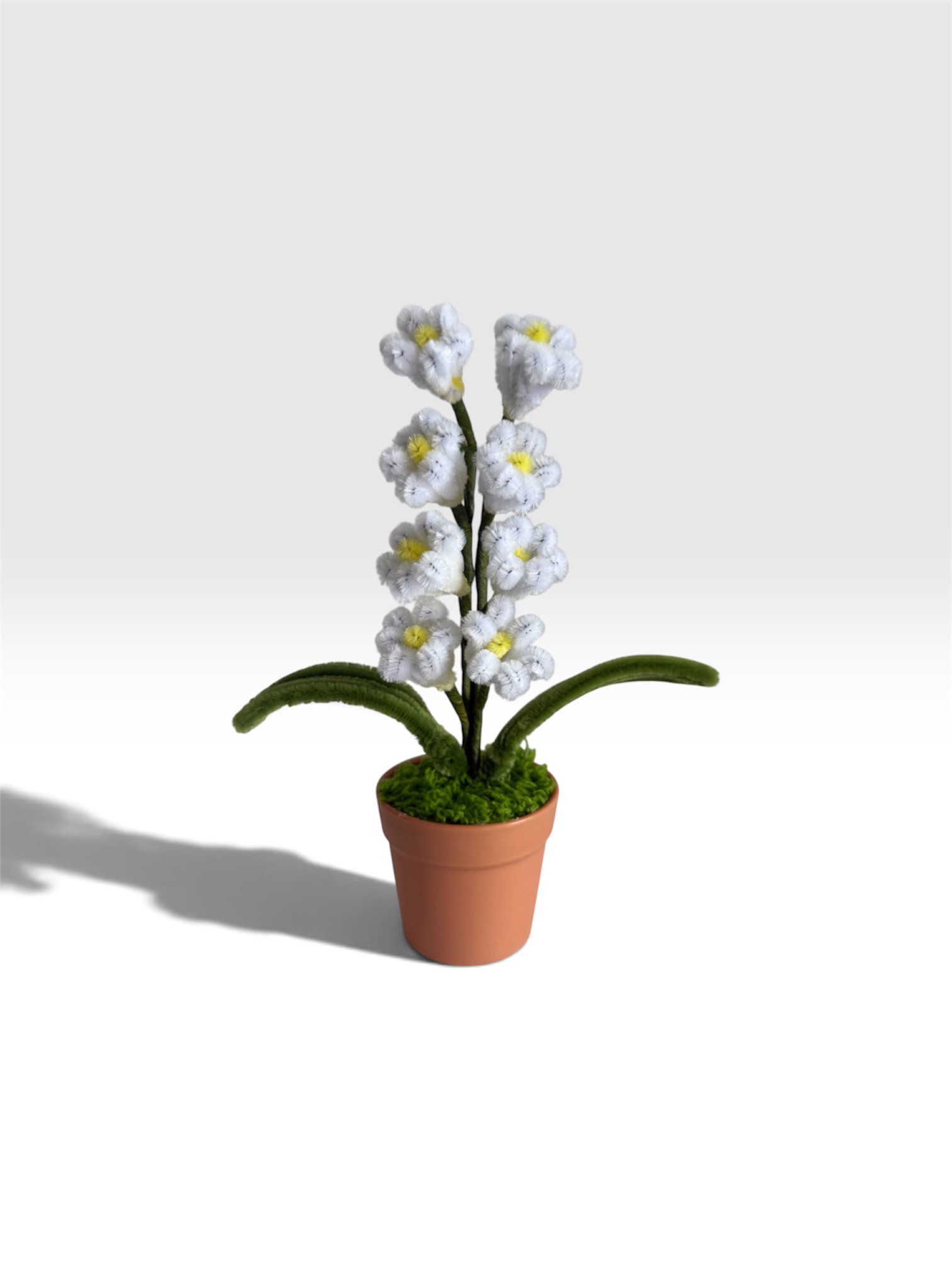 Lily of the Valley in Brown Pot_0