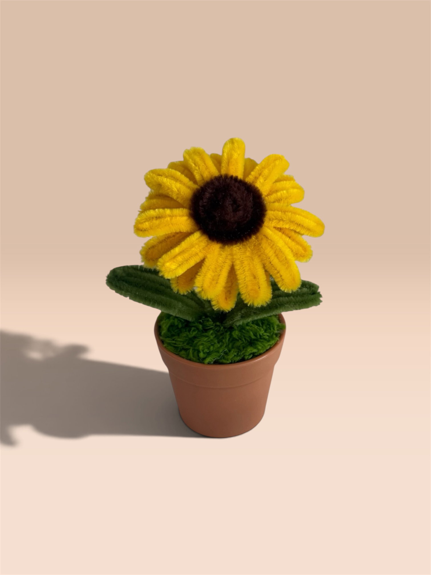 Sunflower in Brown Pot _0