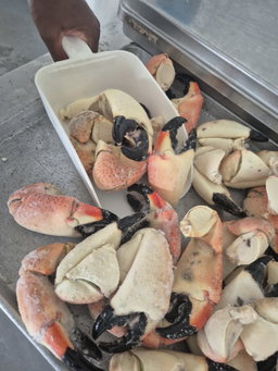 Colossal Stone Crab Claws (5 lbs)