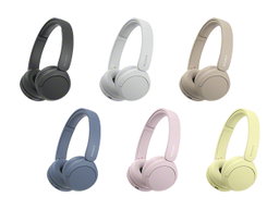 SONY WH-CH 520