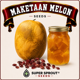 🍈MAKETAAN MELON🍈 x 10 seeds