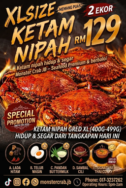 Ketam Nipah Hidup - Live Mud Crab