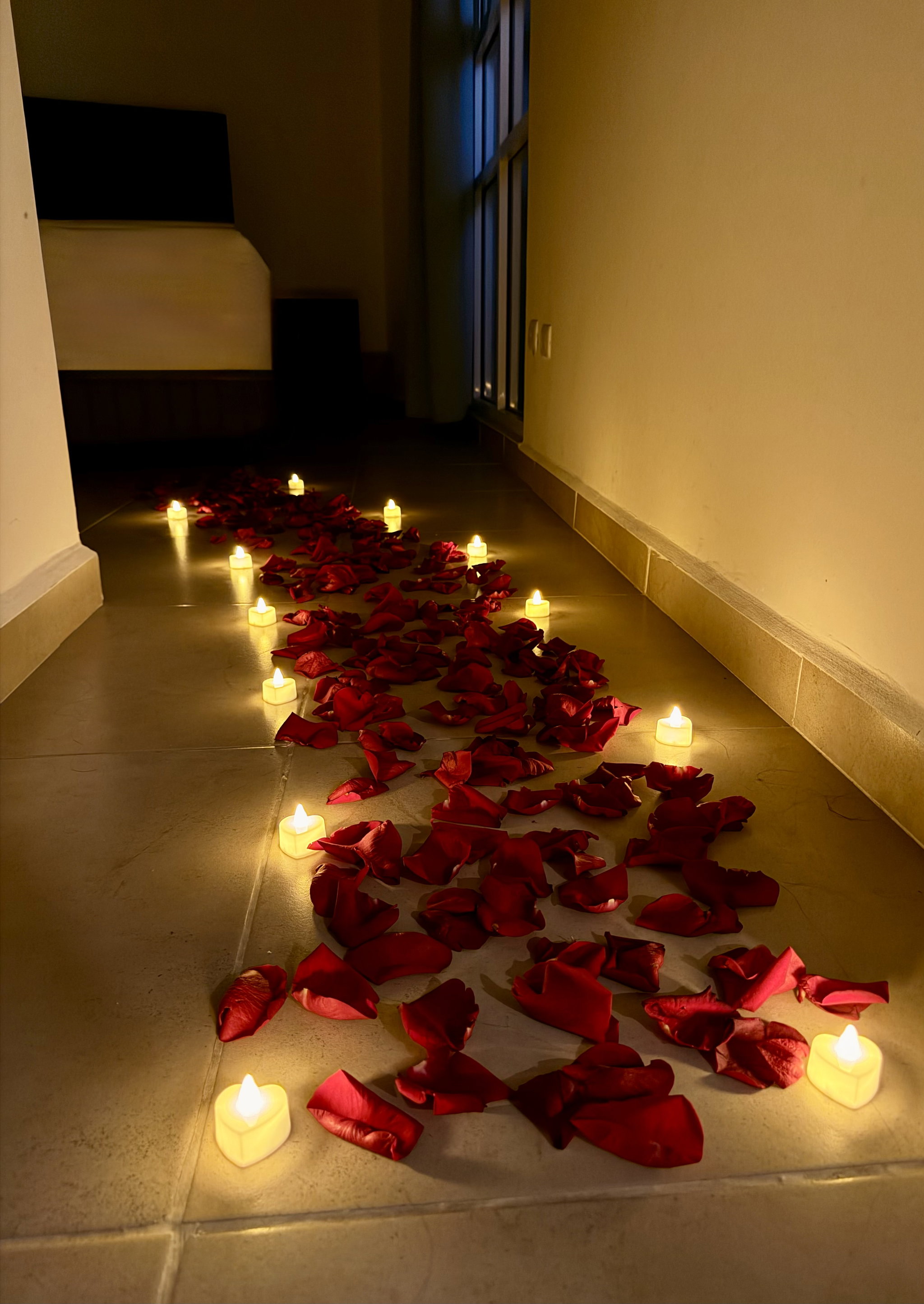 Path of petals _0