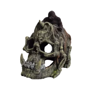 Ancient Skull / Gorilla – 0208