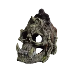 Ancient Skull / Gorilla – 0208