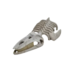 Baleen Whale Skeleton – 1215S_0