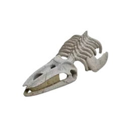 Baleen Whale Skeleton – 1215S