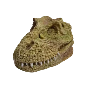 Dinosaur T-REX Skull – 251023A