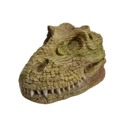 Dinosaur T-REX Skull – 251023A