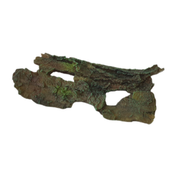 Half Tree Trunk