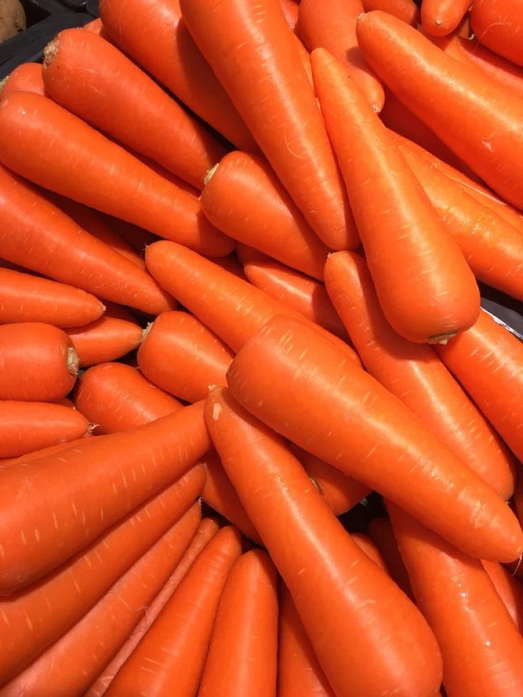 Carrot (foreign)_0