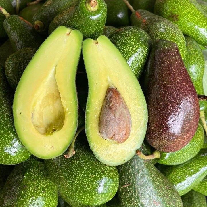 Avocado