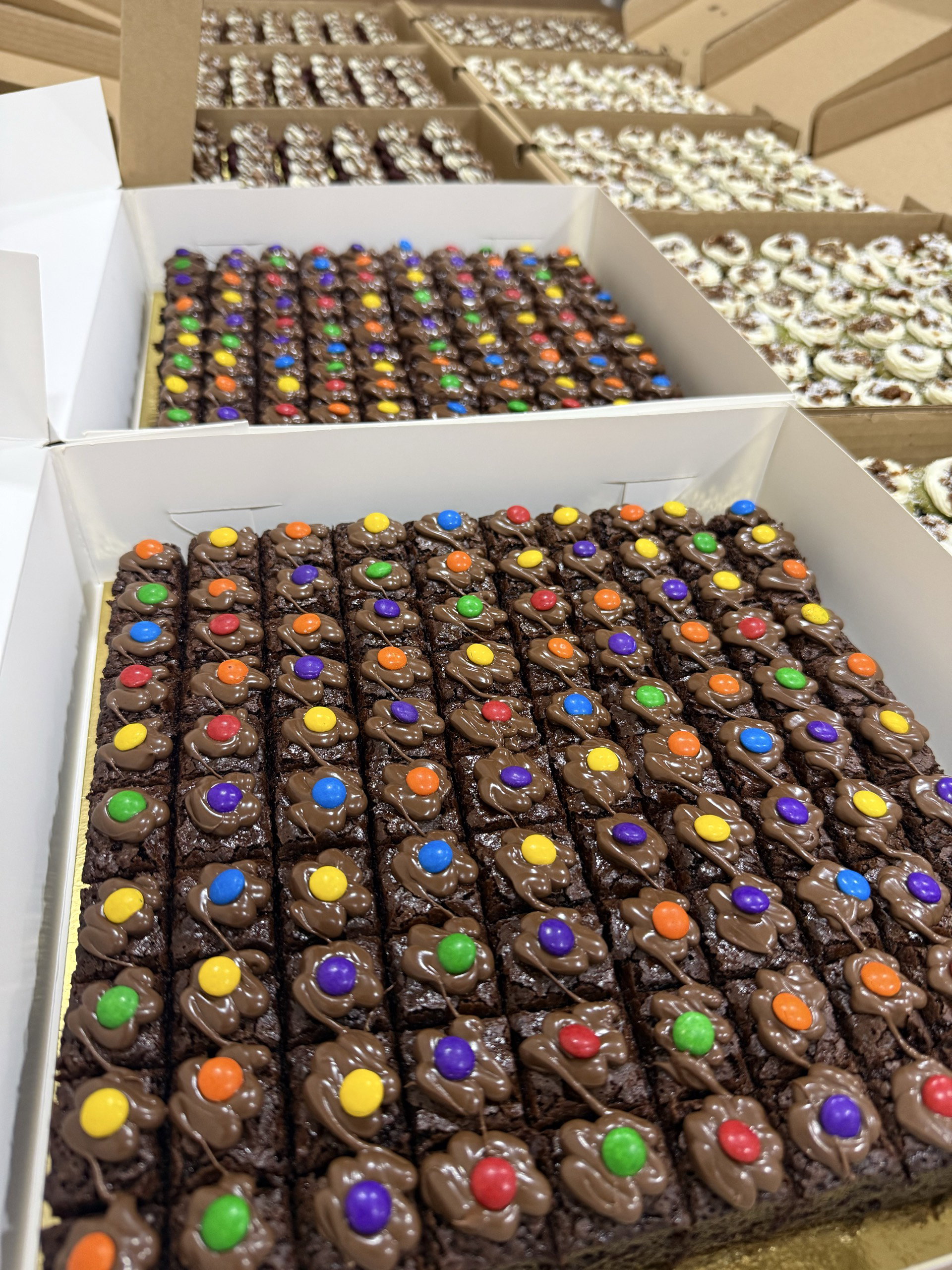 10” Brownies (100pcs)