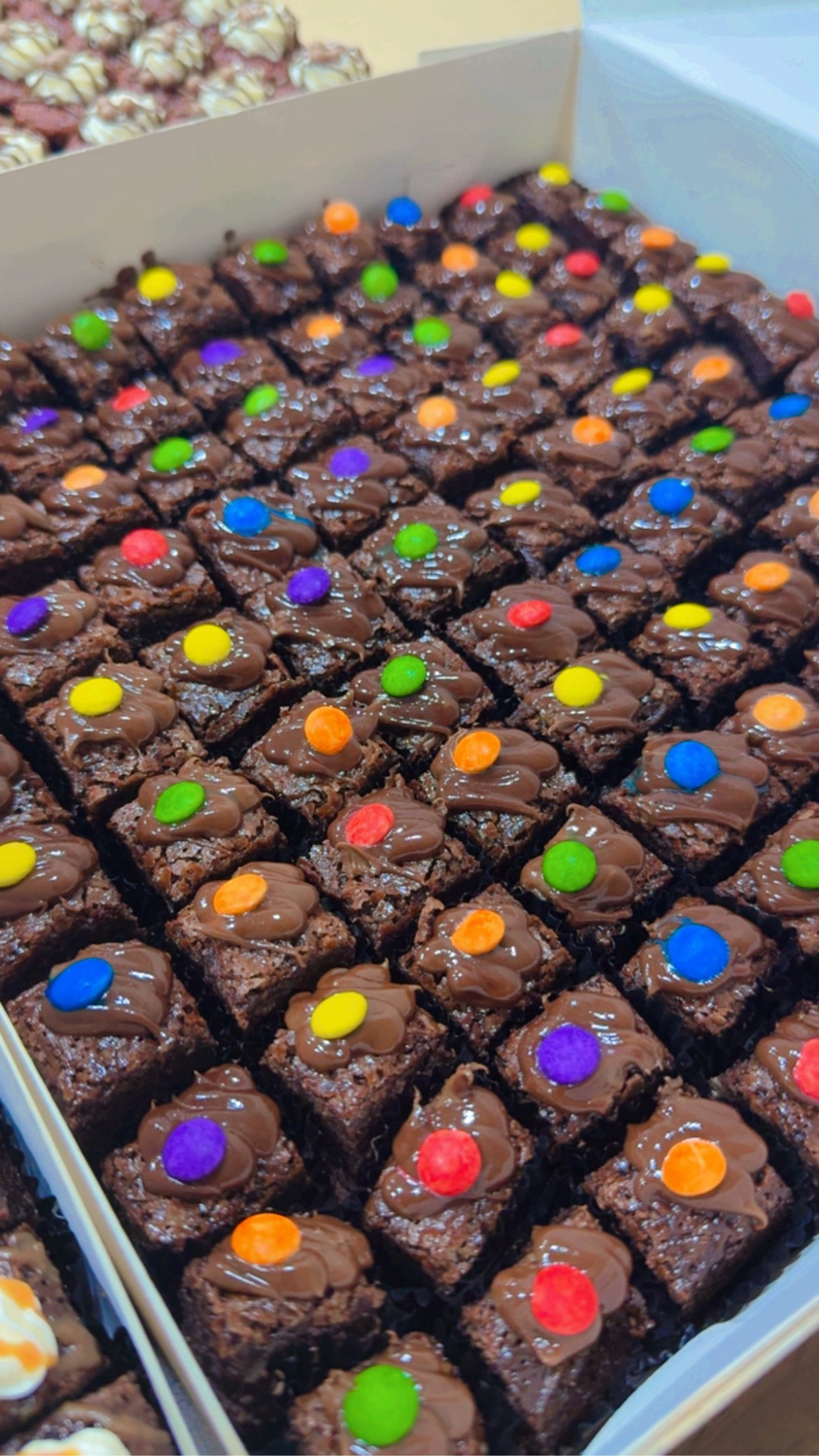 7” Hazella Chocolate Brownies_0