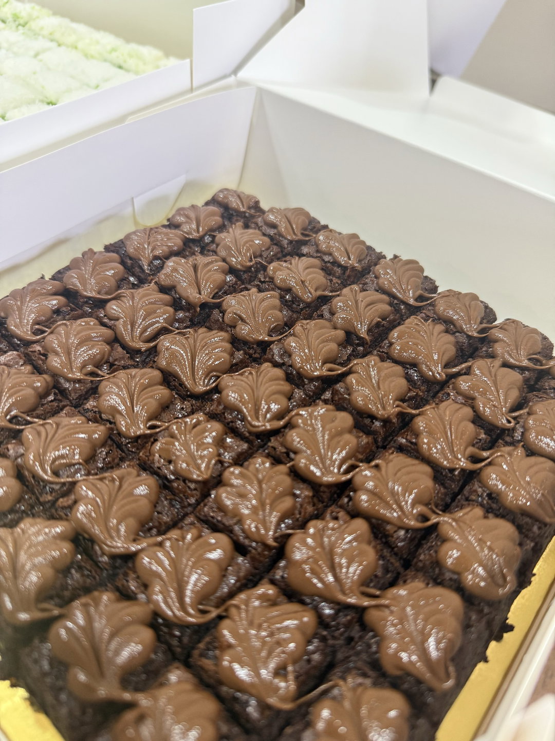 7” Hazella Brownies (Hazelnut)
