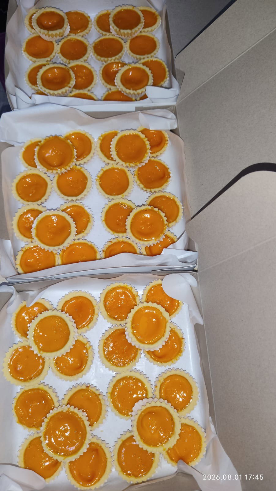 Egg Tart_0