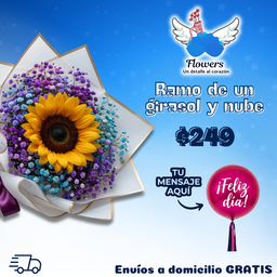Ramo de un girasol y nube