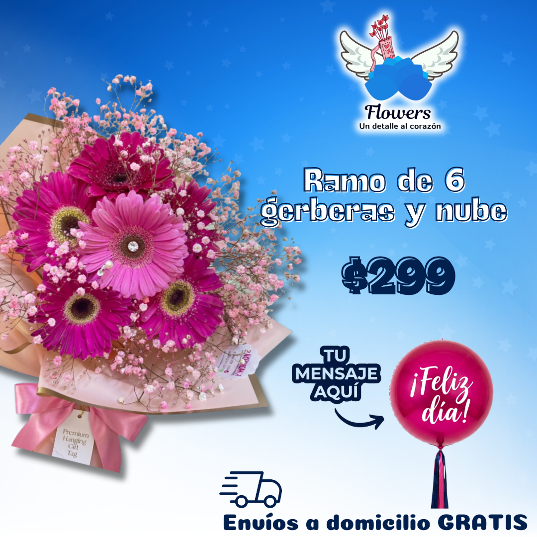 Ramo de 6 gerberas y nube