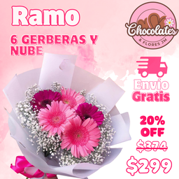 6 Gerberas y Nube