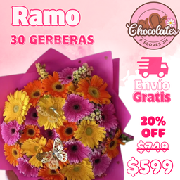 30 Gerberas