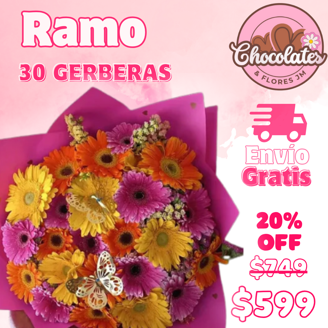 30 Gerberas