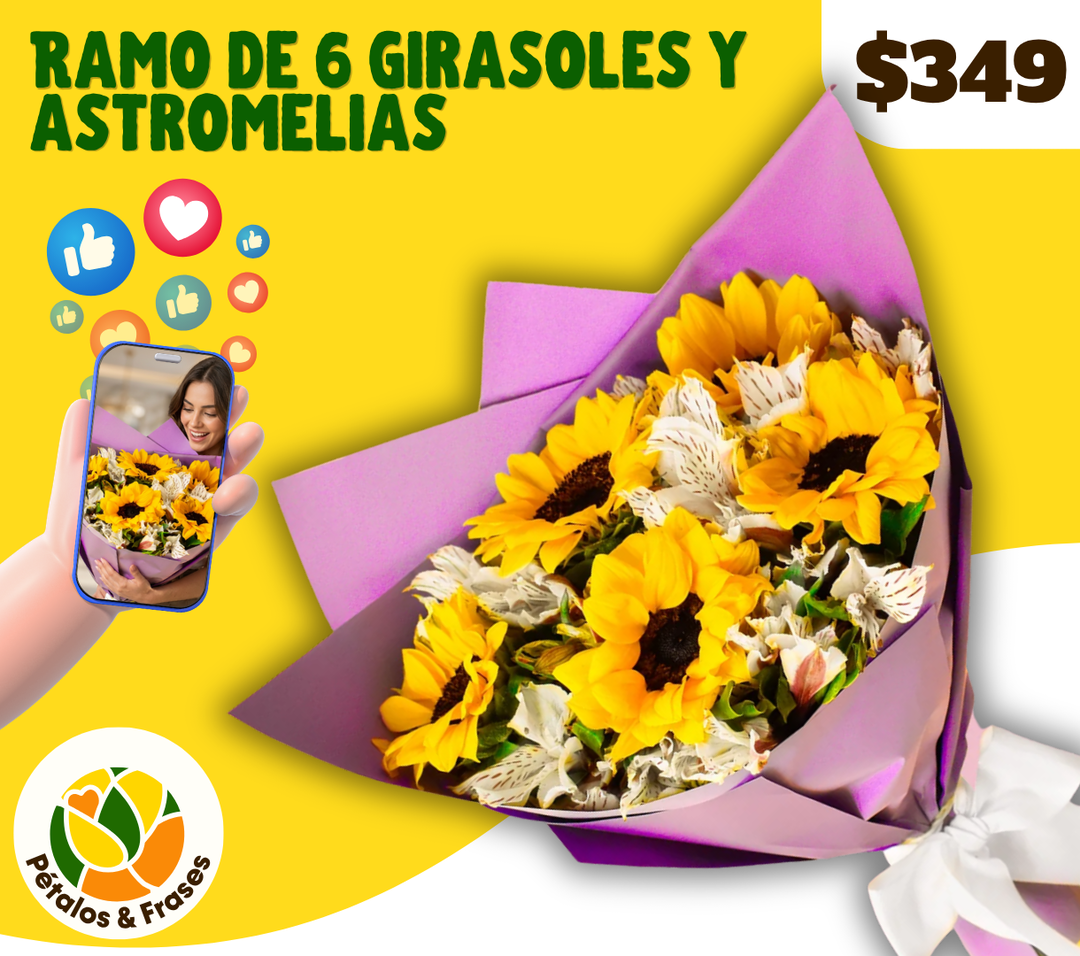 Ramo de 6 girasoles y astromelias