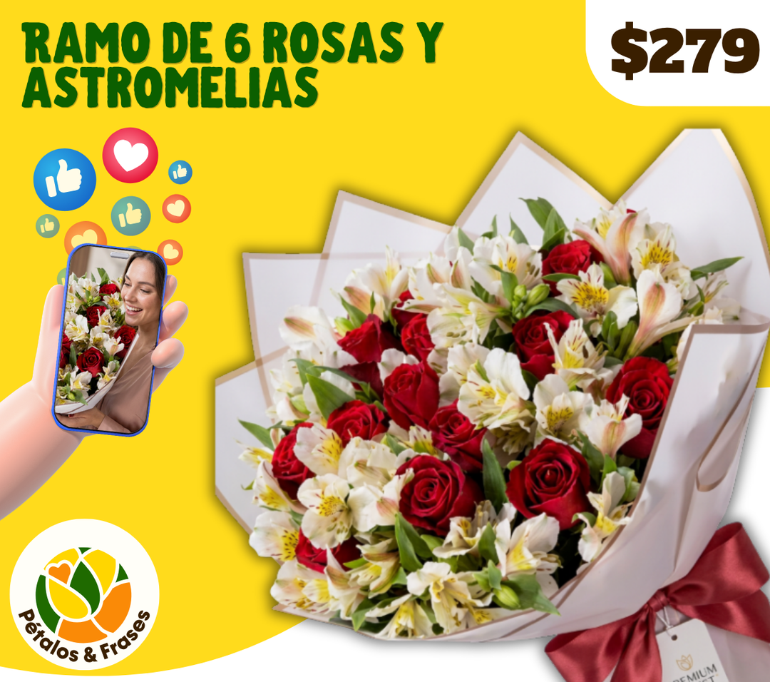 Ramo de 6 rosas y astromelias