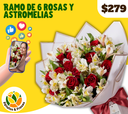 Ramo de 6 rosas y astromelias