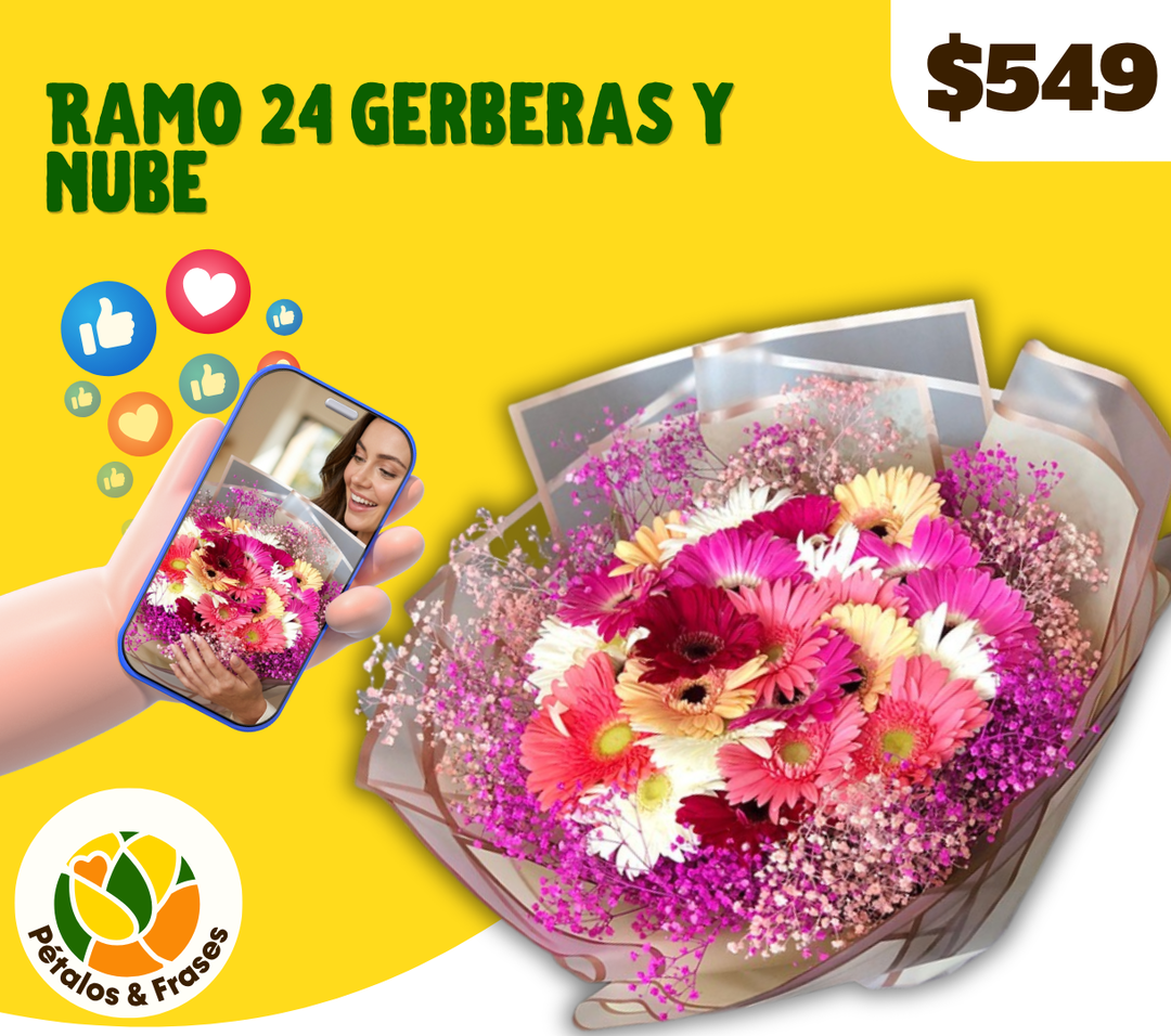 Ramo 24 gerberas y nube