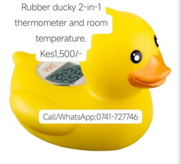 Rubber Ducky 2 -in-1