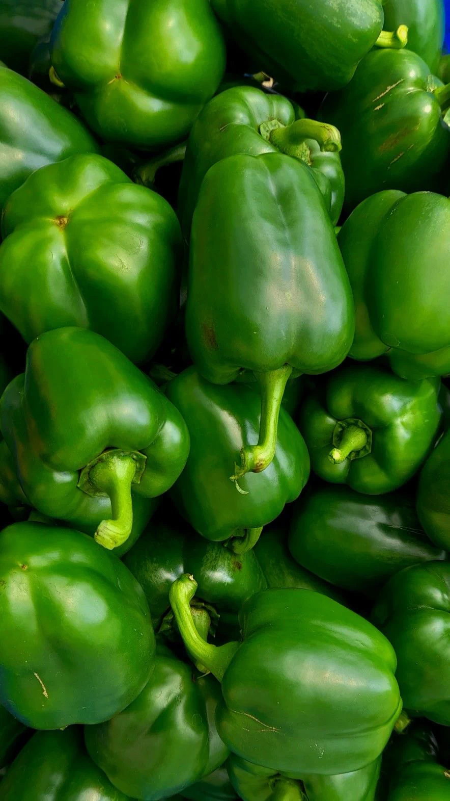 Green pepper _0