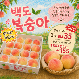 한국산 백도 복숭아! No 마진 항공상품